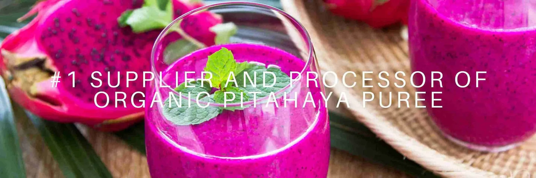 Organic pitahaya puree for digestive wellness formulations