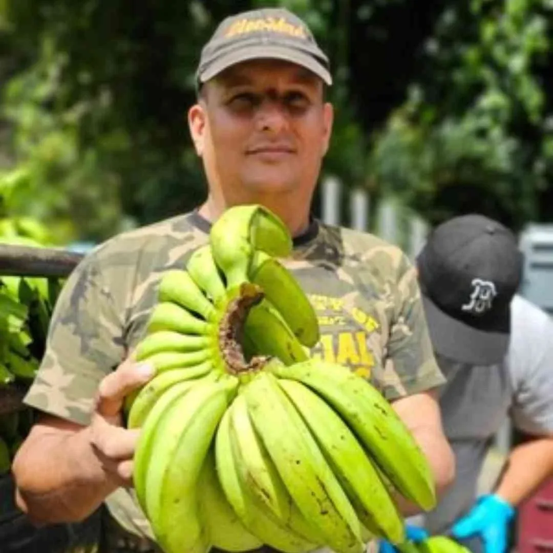 Nicaraguan banana farmer Santos Talavera among Gros Michel banana plants